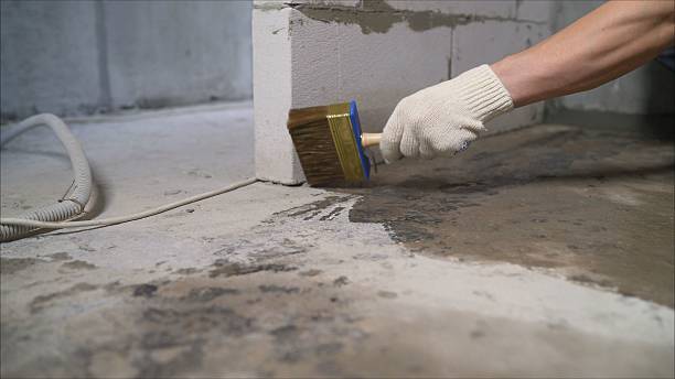 SJ Waterproofing Pros Basement Waterproofing coverage map for Echola, AL and surrounding area